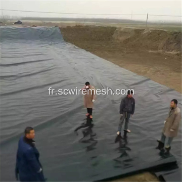 Géomembranes / membrane géotechnique pour barrage de remblai